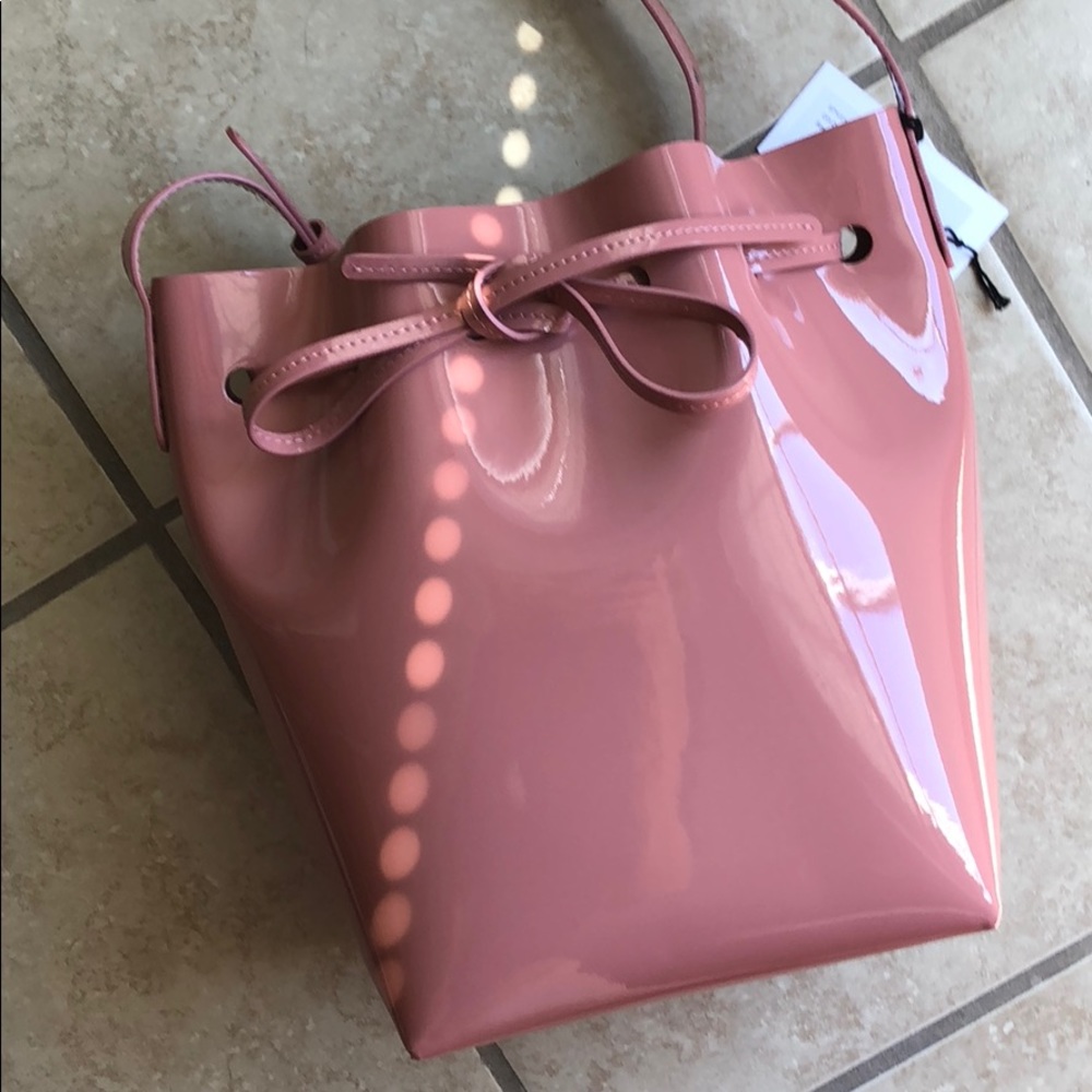 Mansur Gavriel MINI bucket bag in blush.